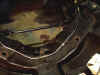 brake8.jpg (43969 bytes)